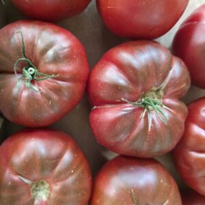 Tomate noir de crimée (France)