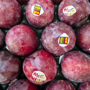 Prune Rouge metis