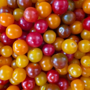 Tomate Cerise Belge