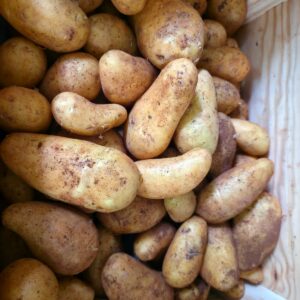 Pomme de Terre Anabelle