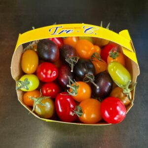 Tomate Cerise Datterino Sicile
