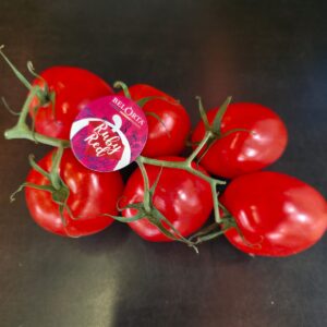 Tomate Ruby Red Belge