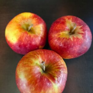 Pomme jonagold Belge