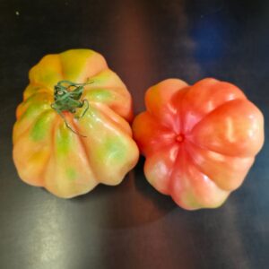 Tomate Cœur de Bœuf Belge