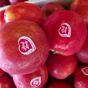 Pomme pink lady