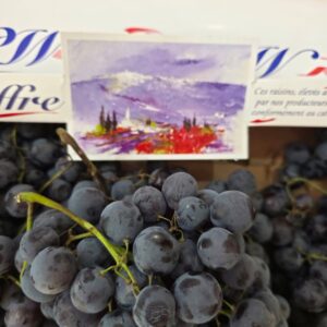 Raisin muscat