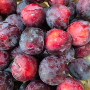 Prune Rouge France