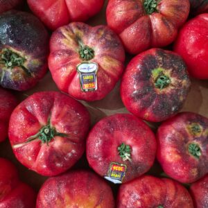 Tomate "Mar Azul"